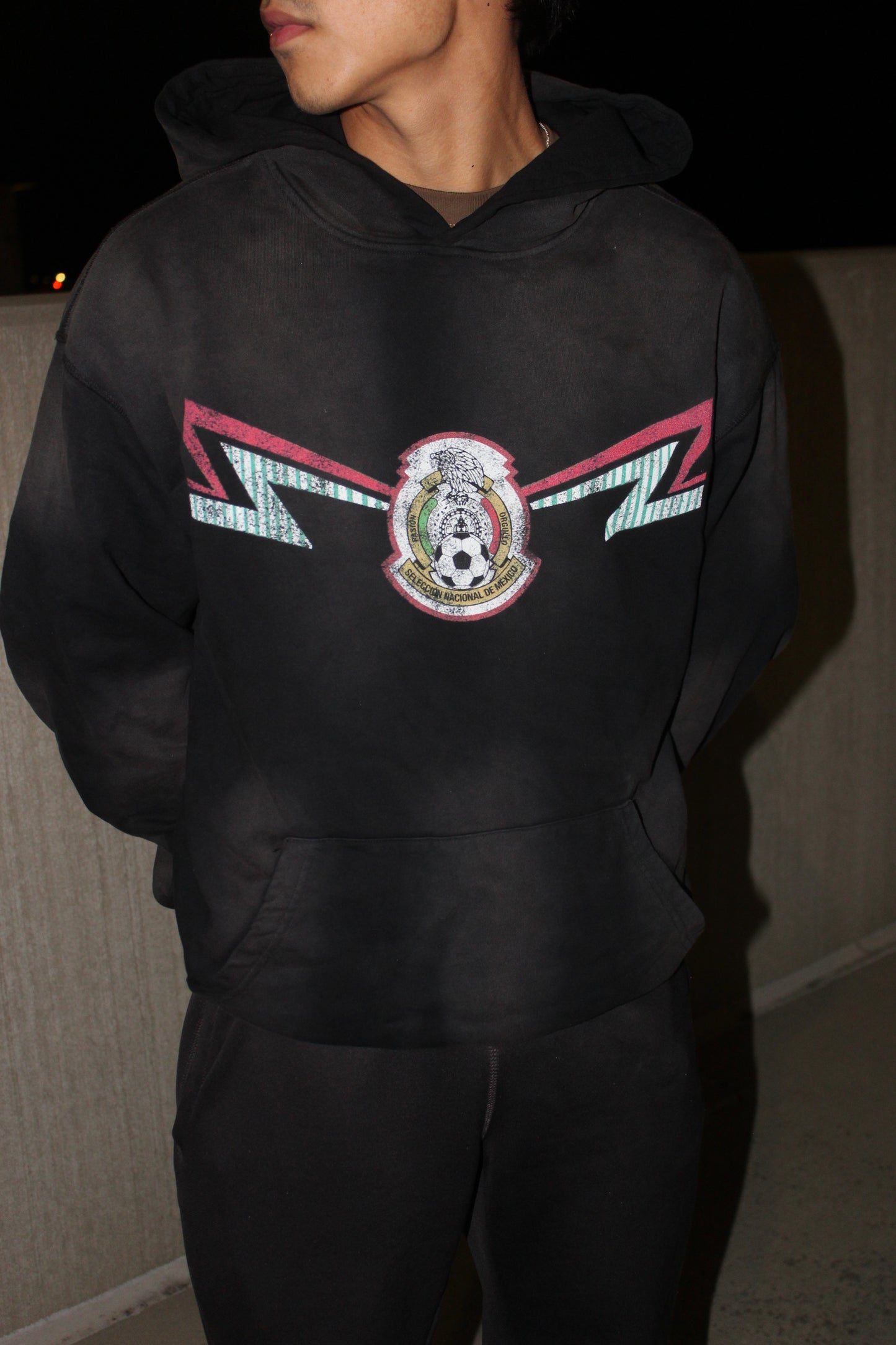 SELECCION 2014 HOODIE